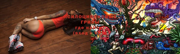 гашик Лагань