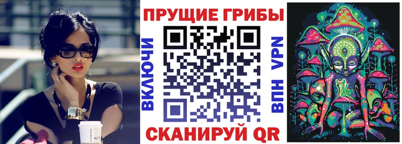 Псилоцибиновые грибы Magic Shrooms  Купить закладки  Углегорск 